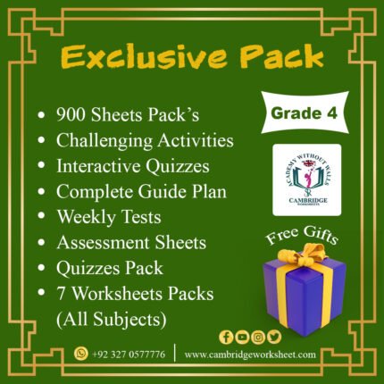 Exclusive Pack Grade 4 cambridge work sheets for kids