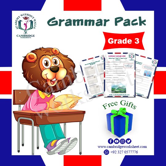 grade 3 grammar cambridge worksheets