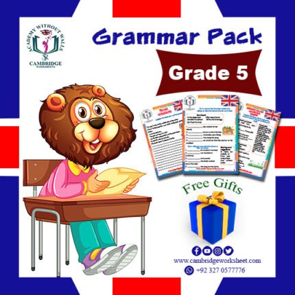 grade 5 work sheets