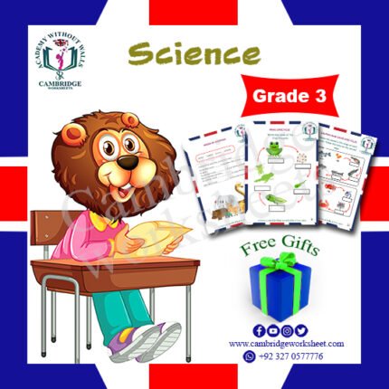 grade 3 science cambridge worksheets