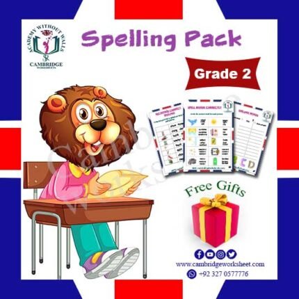 spellings worksheets grade 2