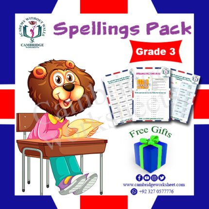 grade 3 spellings cambridge worksheets