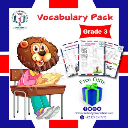 grade 3 vocabulary cambridge worksheets