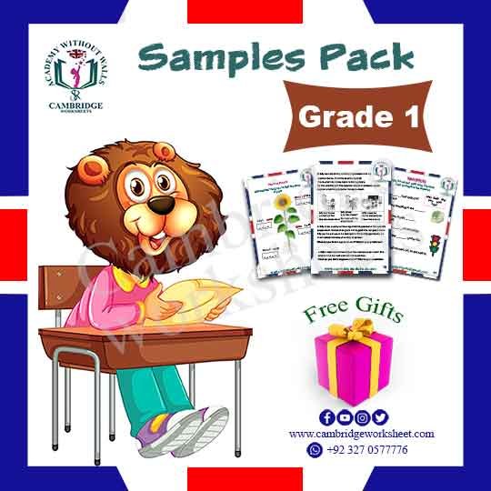 grade 1 cambridge worksheets