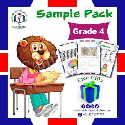 grade 4 cambridge worksheets